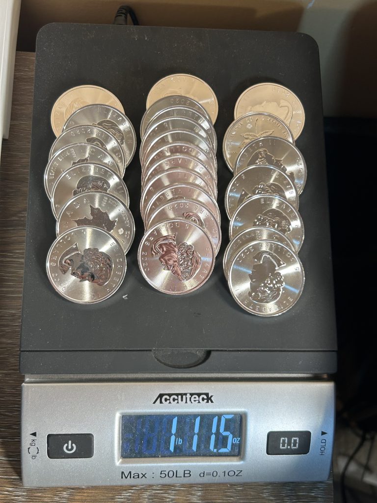 Organized stacks of silver bullion rounds showing different silver products that can trade at varying premiums above spot price