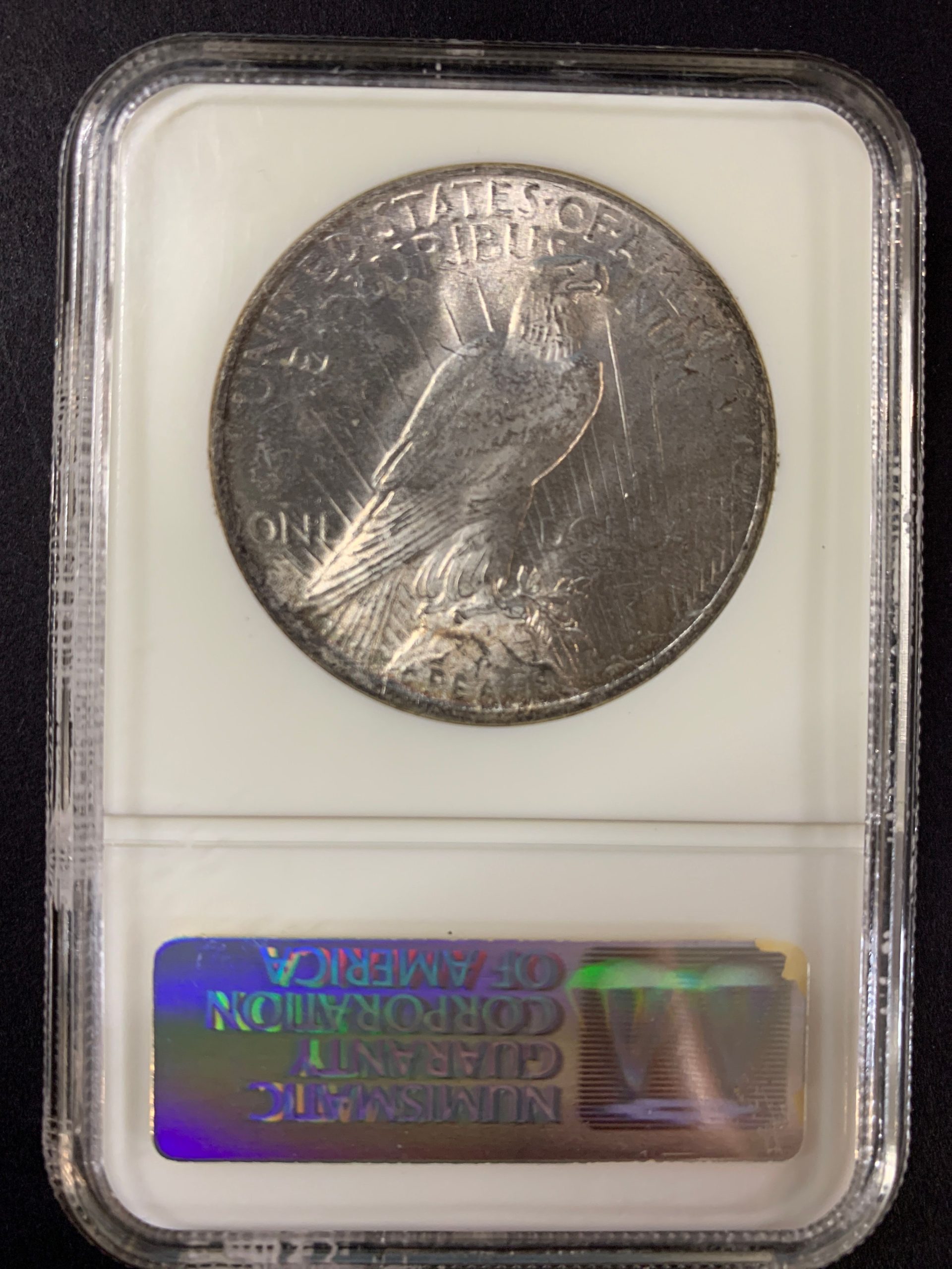 1923 Peace Dollar NGC MS64 reverse with natural toning and eagle design
