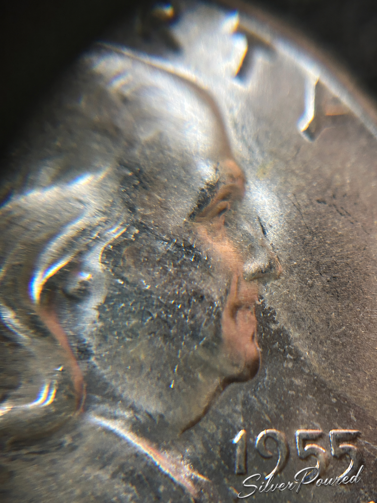 1955 Franklin Half Dollar Bugs Bunny die clash variety close-up