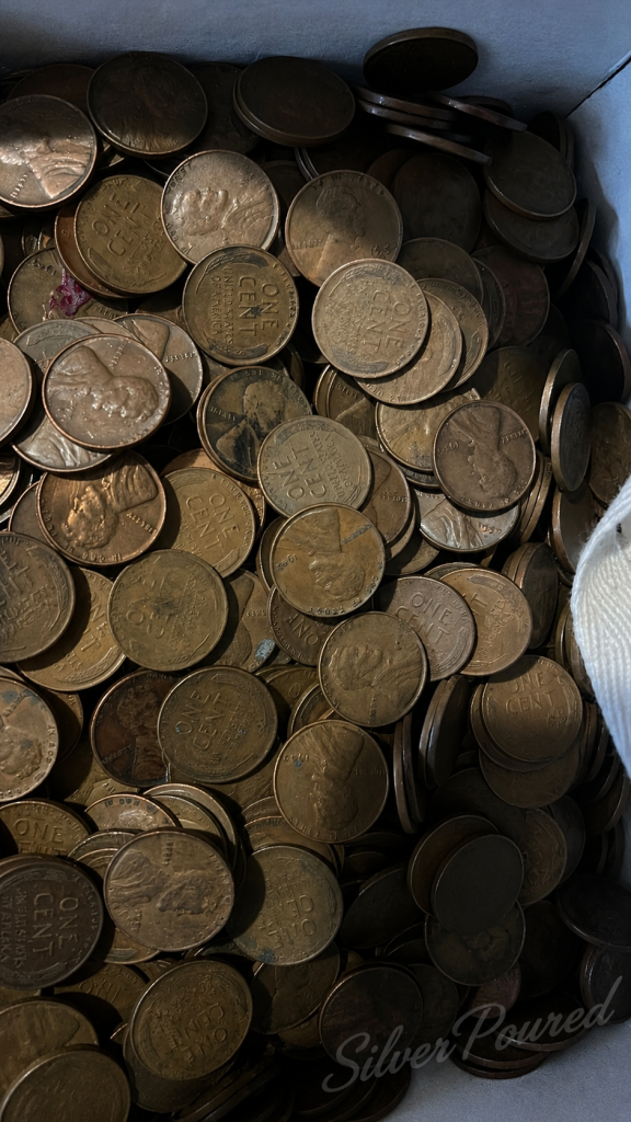 Coin collecting for kids searching a wheat penny hoard with mixed-date Lincoln Wheat Cents in a bulk coin collection box